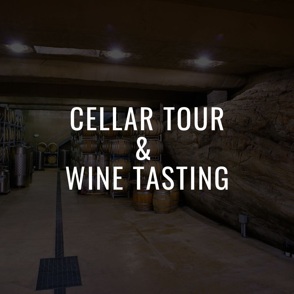 Cellar Tour
