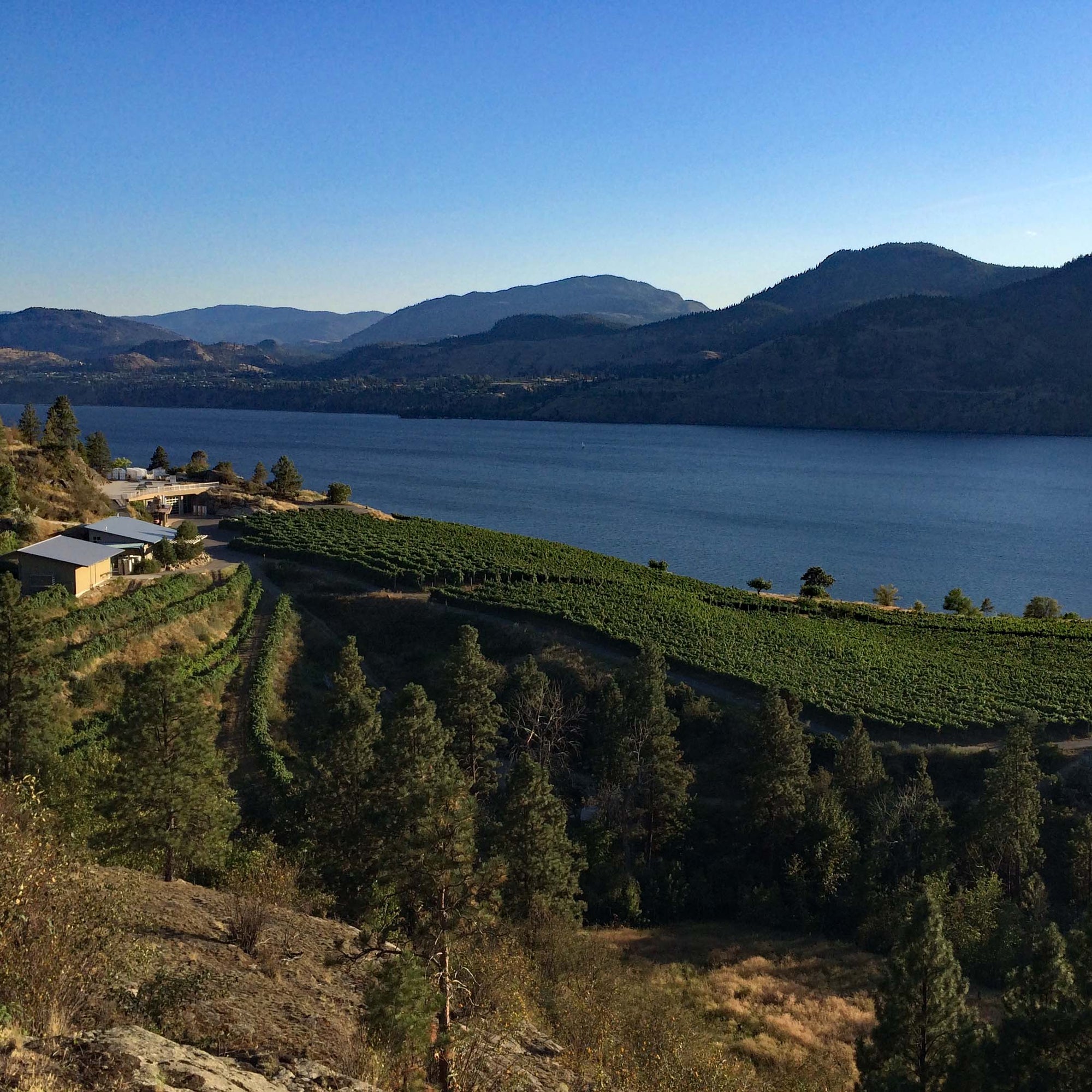 Vista of BC vineyard and Skaha lake in Penticton, BC | Pentâge Winery
