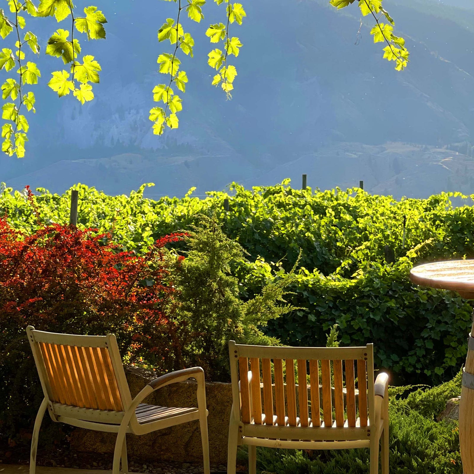 Outside wine shop at Pentâge Winery