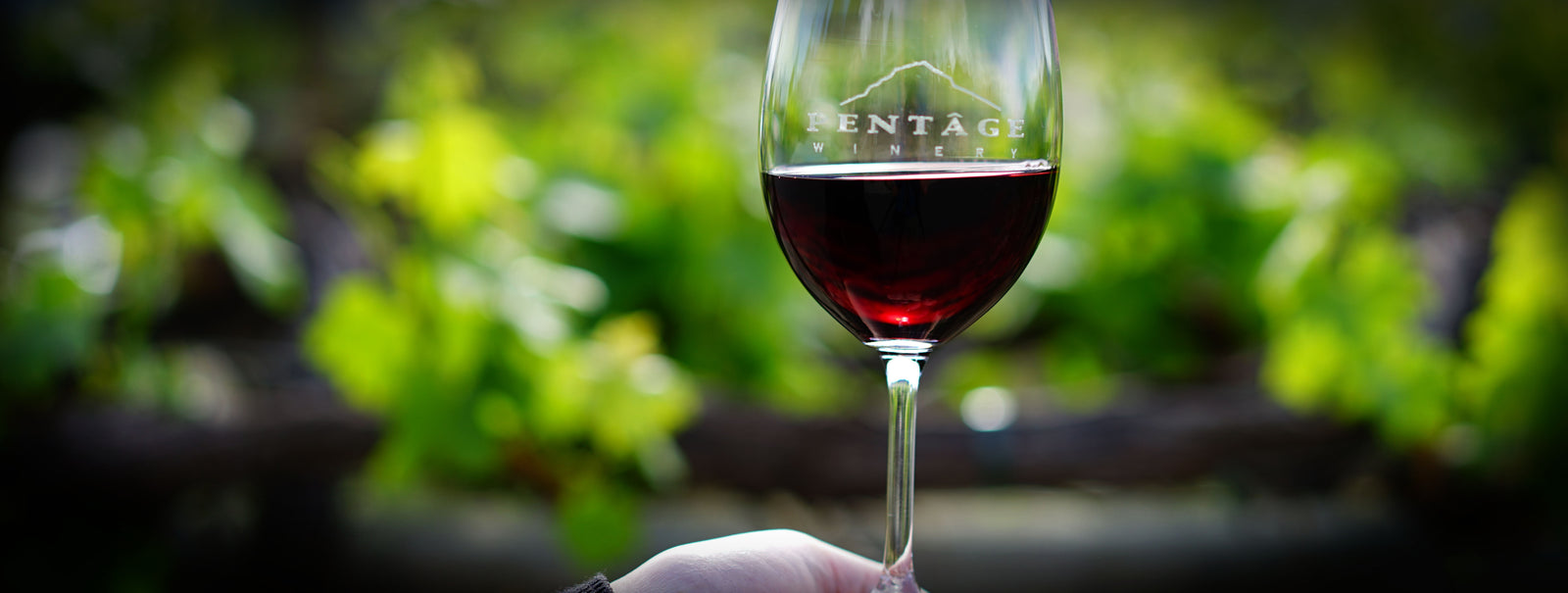 A glass of premium BC Red wine for the wine club at Pentâge Winery