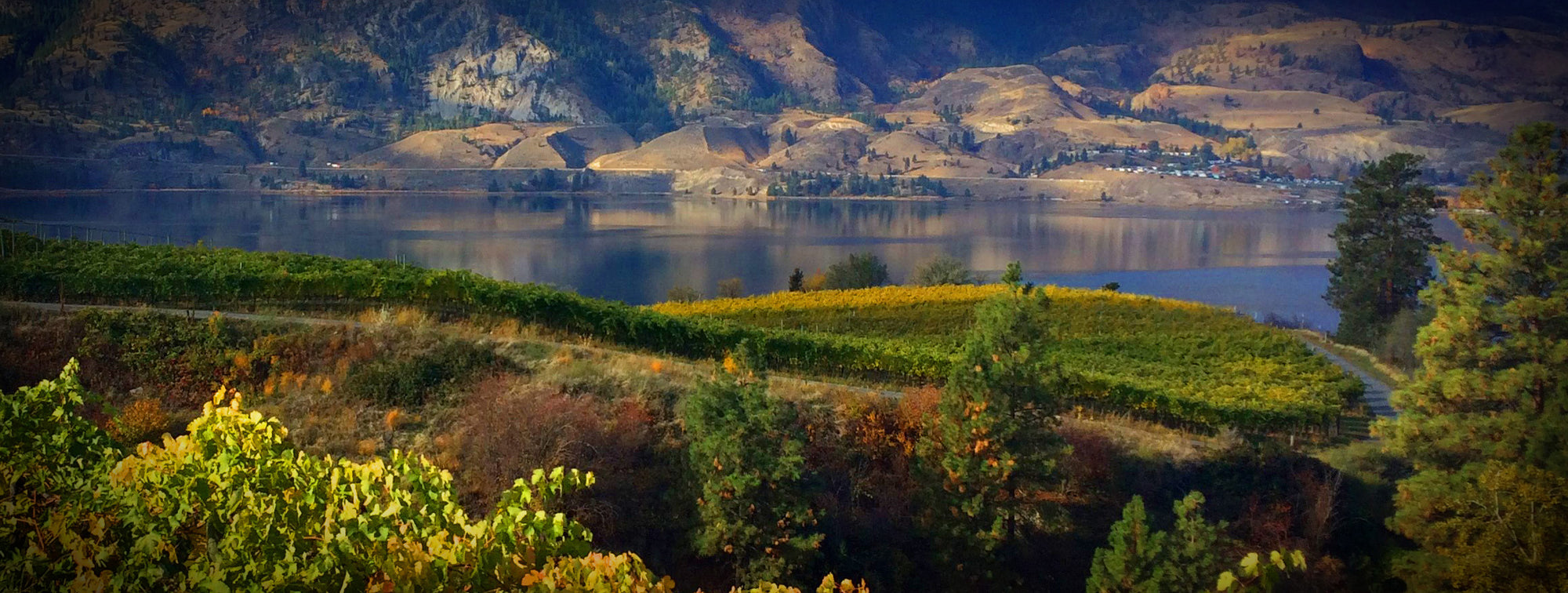 View of Vista Ridge Vineyard and Skaha Lake in Penticton, BC | Pentâge Winery