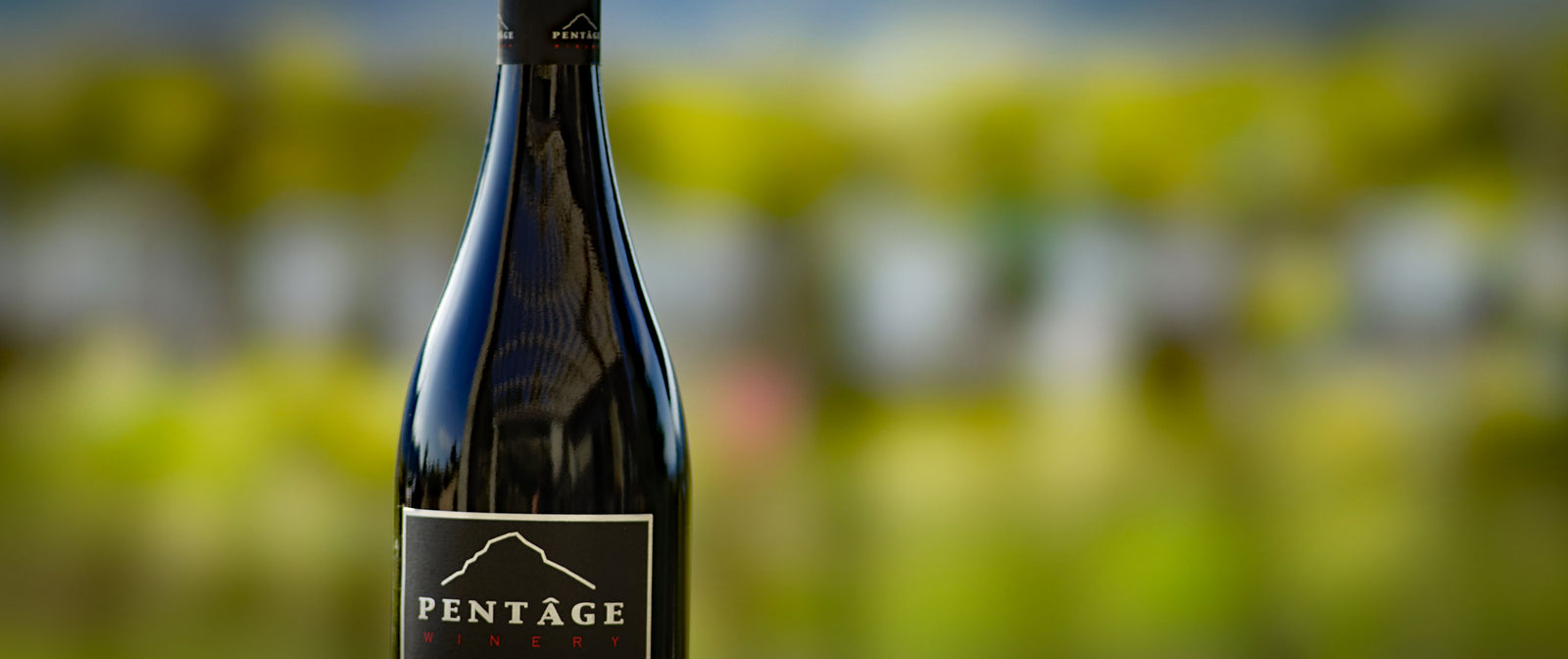 Red Wine Bottle at Pentâge Winery